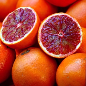 May include: Close-up of several blood oranges, some halved to reveal the deep red interior. The oranges are a vibrant orange color with a slightly textured skin. The cut oranges display a striking red and purple pattern.