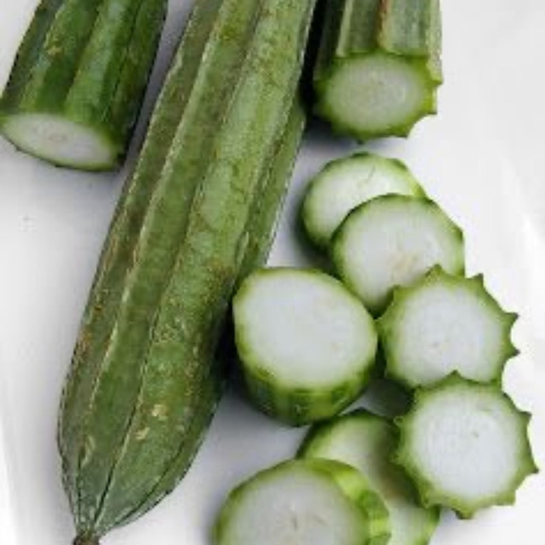 RIDGED GOURD or Thai Long Luffa 30+ Seeds. - Etsy