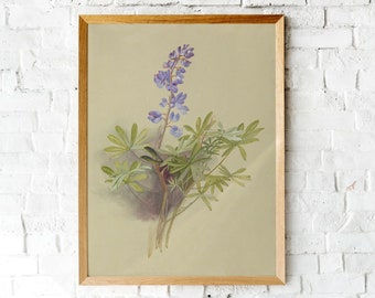 Vintage Botanical Illustration~Digital Download~Soft Pastel Watercolor~Wild Lupine Spring Wildflowers~Romantic Bohemian Framable Wall Decor