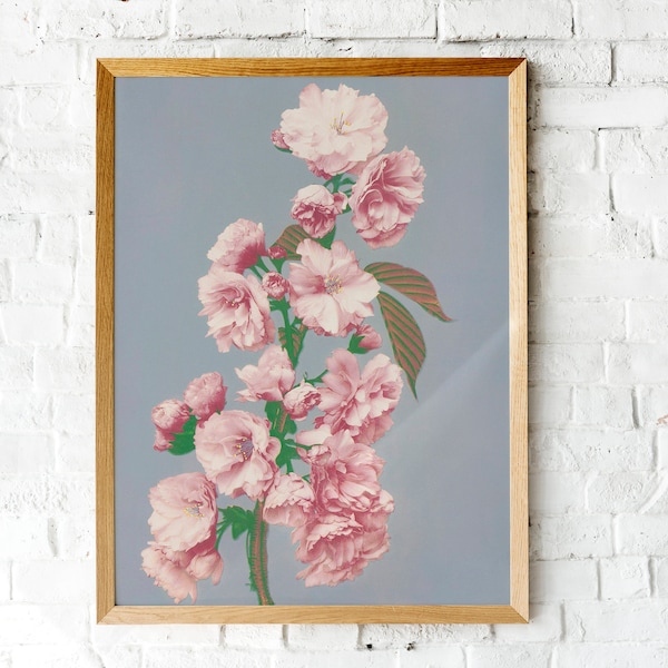 Ogawa Kazumasa~Cherry Blossom~Hand Painted Vinatage Botanical Photograph~Instant Digital Download~Vintage Bohemain Framable Wall Decor