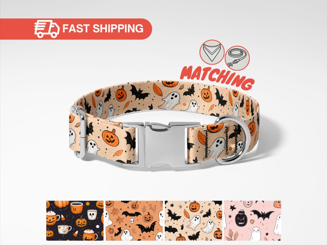 Personalized Halloween Dog Collar Set With Name Tag, Matching Leash