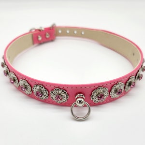 Crystal Flower Dog Collar | Free & Fast Shipping