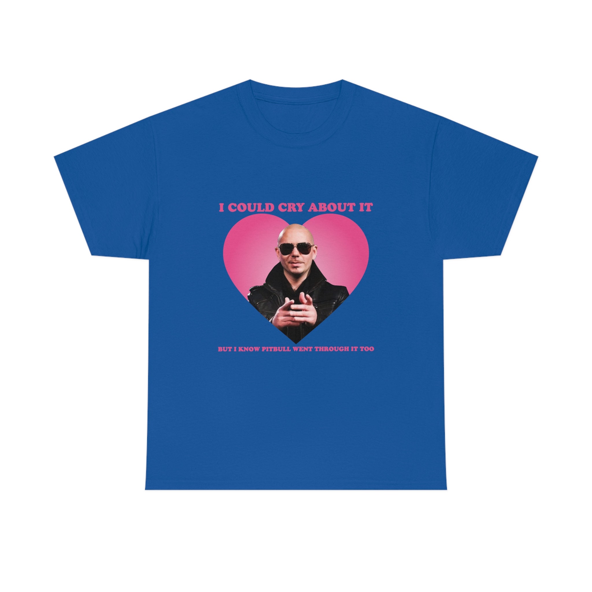 I've Got Guns If You Make It Past The Pitbull T Shirt I've Got Guns If You Make It Past The Pitbull T Shirt