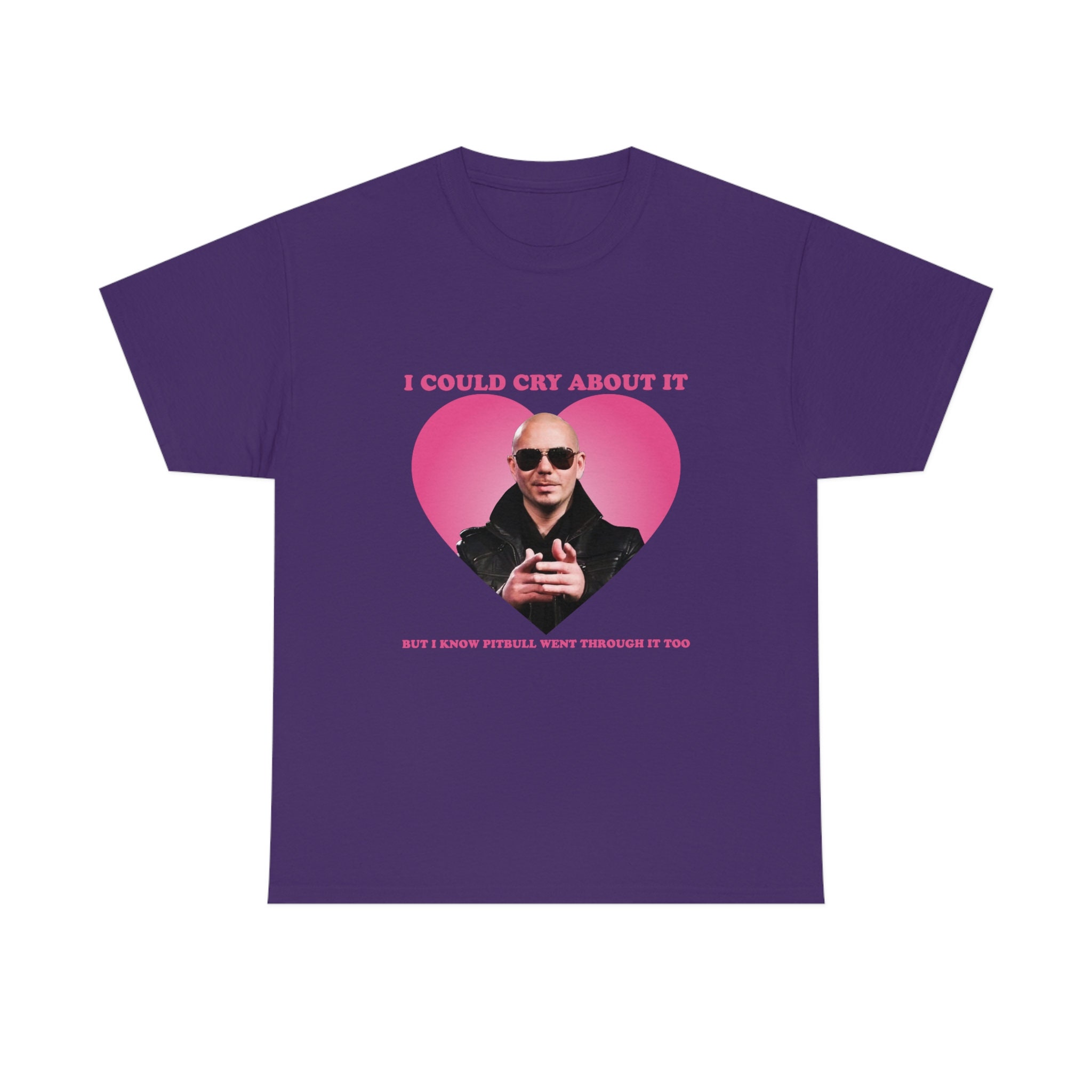 I've Got Guns If You Make It Past The Pitbull T Shirt I've Got Guns If You Make It Past The Pitbull T Shirt