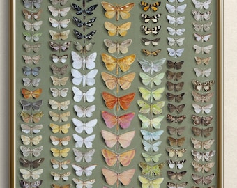 Grüner Schmetterling Schaubild | Schmetterling Kunst | Eklektische Schmetterlings-Wand-Kunst | Vintage Schmetterling Kunstdrucke | Cottagecore Wand Kunst | #A101