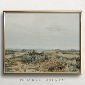 Desert Wildflowers | French Country Wall Art | Countryside Landscape Oil Painting | Vintage Landscape Painting | #L247