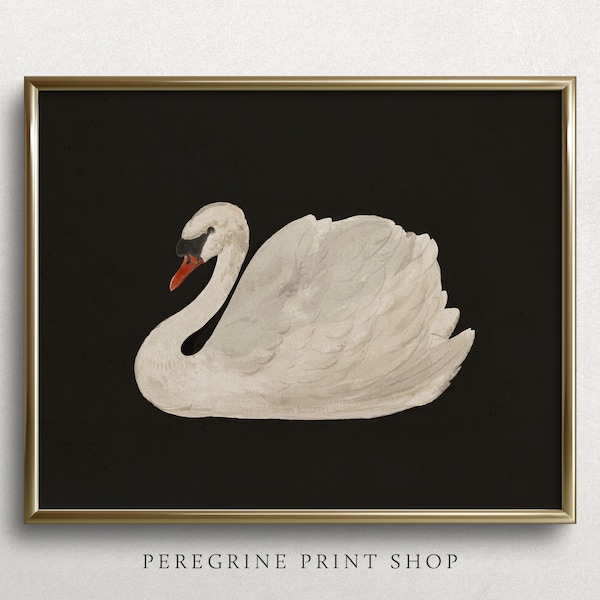 Black Lake Swan | Swan Print | Moody Wall Art | Vintage Kitchen Prints | Vintage Kitchen Painting | Vintage Swan Painting | #M7