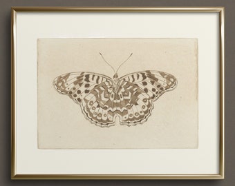 May include: A framed print of a black and white butterfly illustration. The butterfly is centered in the frame and has a detailed design. The frame is gold and has a white mat.
