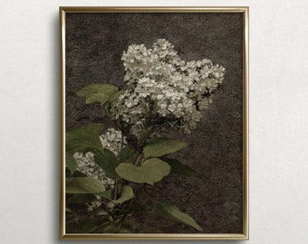 White Lilacs | Floral Oil Painting | Vintage Lilac Painting | Vintage Floral Wall Art | Vintage Kitchen Print | #F11