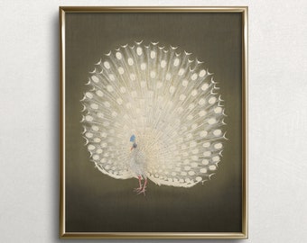 Albino Peacock | Moody Wall Art | Eclectic Bird Art Print | Vintage Peacock Painting | #M9