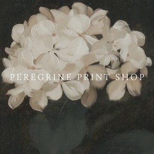 May include: A vintage-style painting of white hydrangea flowers against a dark background. The artwork features the text "PEREGRINE PRINT SHOP" in a serif font, adding a touch of elegance to the floral composition.