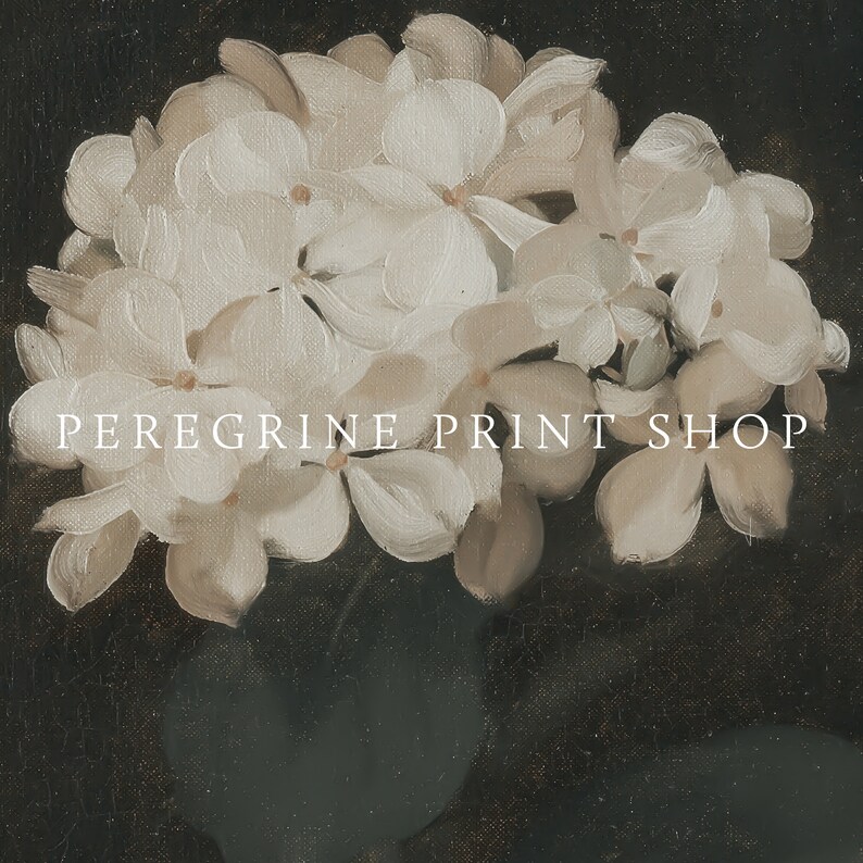 May include: A vintage-style painting of white hydrangea flowers against a dark background. The artwork features the text "PEREGRINE PRINT SHOP" in a serif font, adding a touch of elegance to the floral composition.