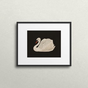 May include: A framed print of a white swan with an orange beak, set against a black background.