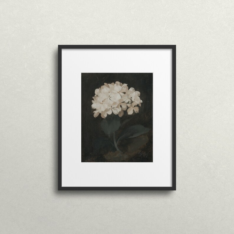 May include: Framed artwork featuring a white hydrangea flower against a dark background. The painting has a vintage aesthetic, with a black frame and white matting. The flower's petals are detailed, and the leaves are a muted green.