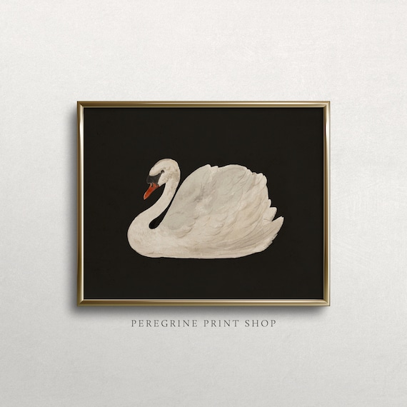 Black Lake Swan | Swan Print | Moody Wall Art | Vintage Kitchen Prints | Vintage Kitchen Painting | Vintage Swan Painting | #M7