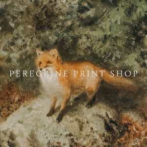 May include: A painting of a red fox standing on a rock in a forest. The fox is looking to the left of the image. The background is a dark green forest.
