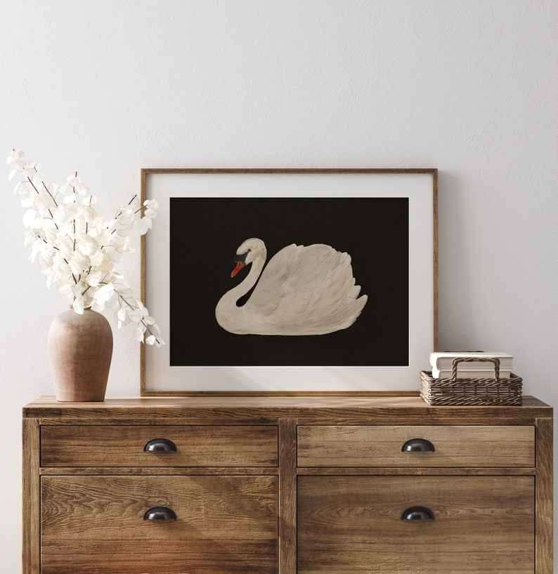May include: A framed print of a white swan on a black background. The swan is in a swimming position with its head turned to the side.