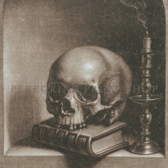 Skull on a Shelf | Skull Art | Moody Wall Art | Dark Academia Art
