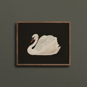 May include: A white swan with a black eye and orange beak is depicted against a black background. The swan is in a swimming position with its head turned to the side.