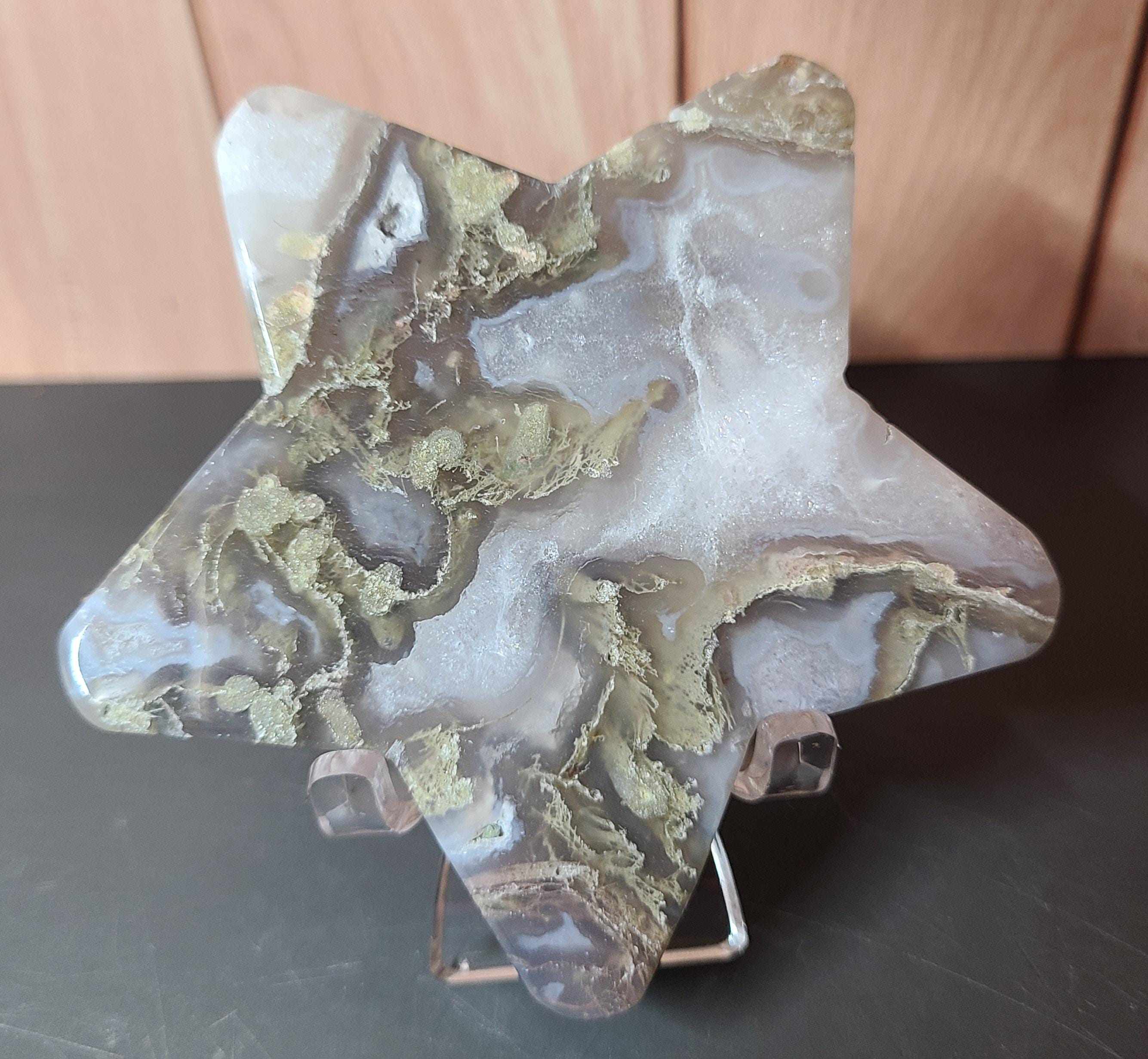 ポートメリオン　デイジー　まとめ売り ポートメリオン デイジー ポット