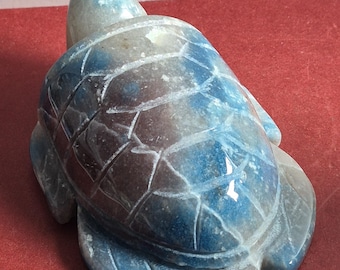 Trolleite Turtle