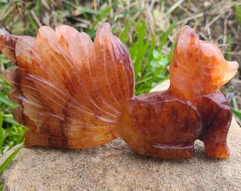 チョコレート カルサイト レディース ボディ チョコレートカルサイト妊婦用ボディ - Etsy 日本