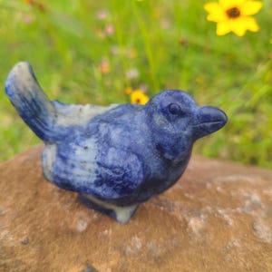 Sodalite Bird