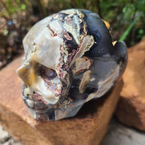 Large Volcano Agate Skull