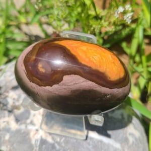 May include: A smooth, polished, egg-shaped stone with brown, orange, and red swirling patterns.