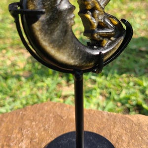 Golden Sheen Obsidian Fairy on Moon