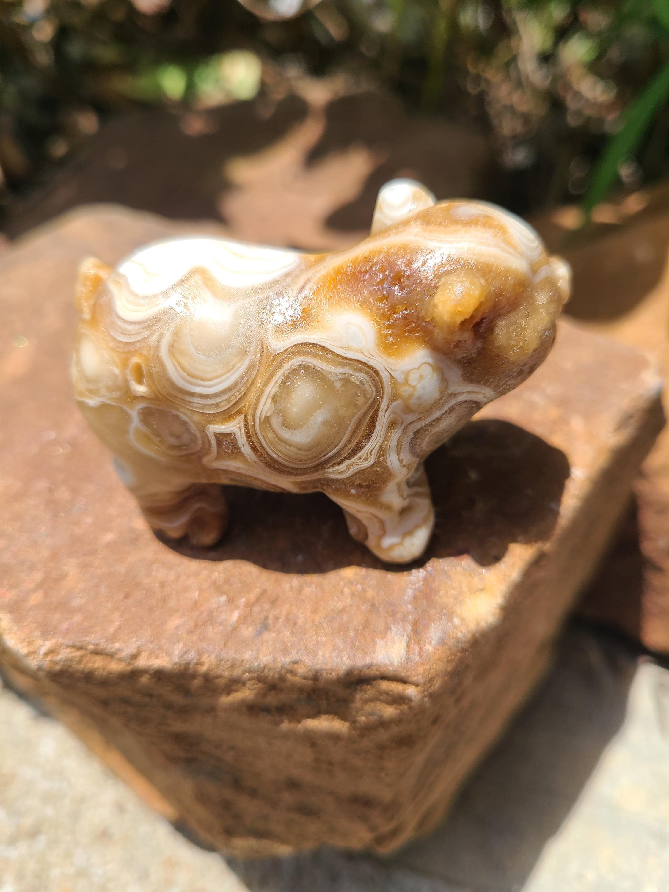 じばにゃん❤️ バンデットアゲート　カメリアカービング　14kgf ピアス minikin]14kgf/barガーネットピアス