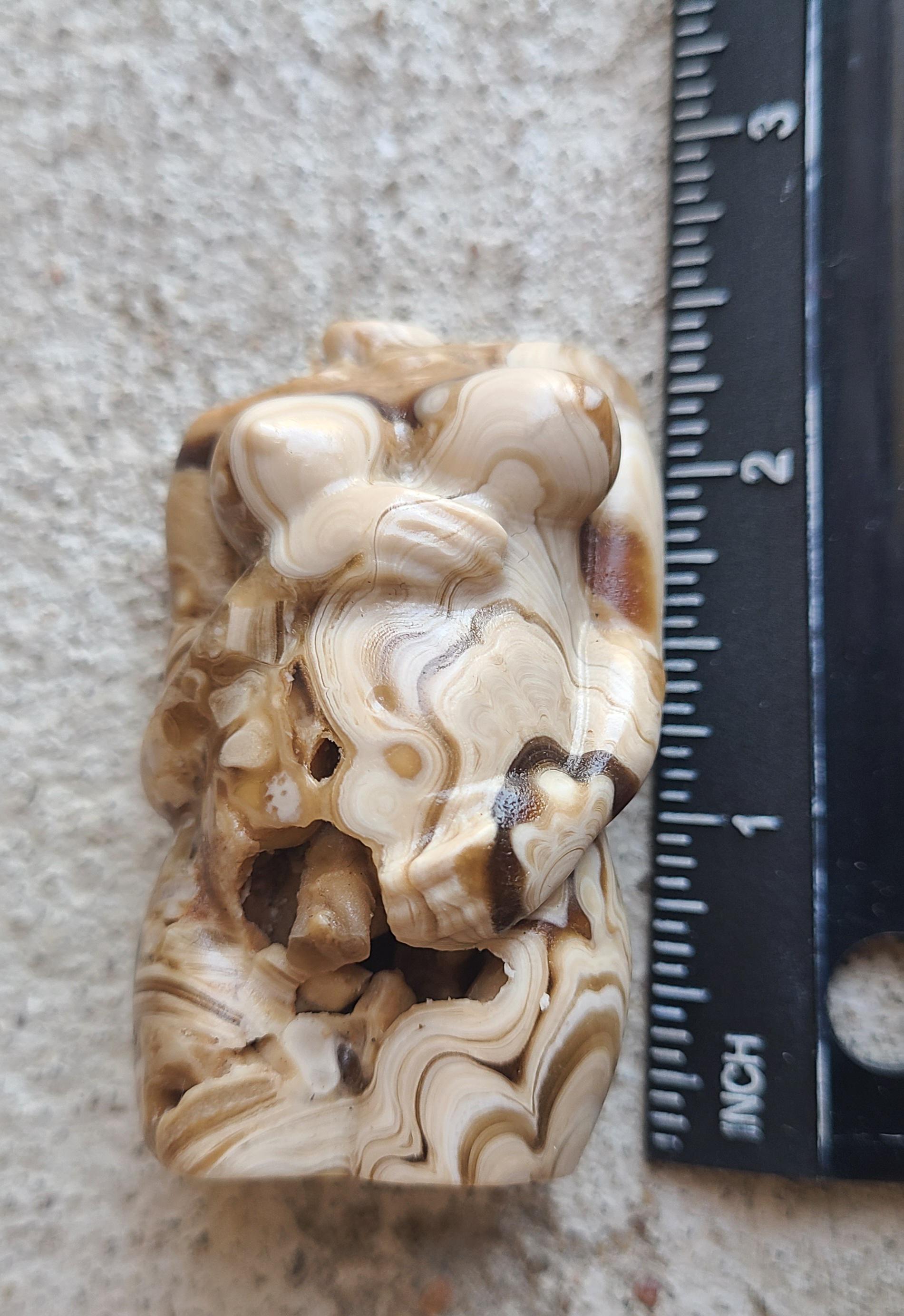 チョコレート カルサイト レディース ボディ チョコレートカルサイト妊婦用ボディ - Etsy 日本