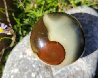 Polychrome Jasper Palm Stone