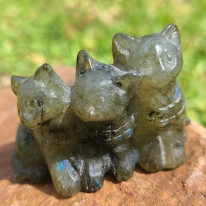 Labradorite Cats