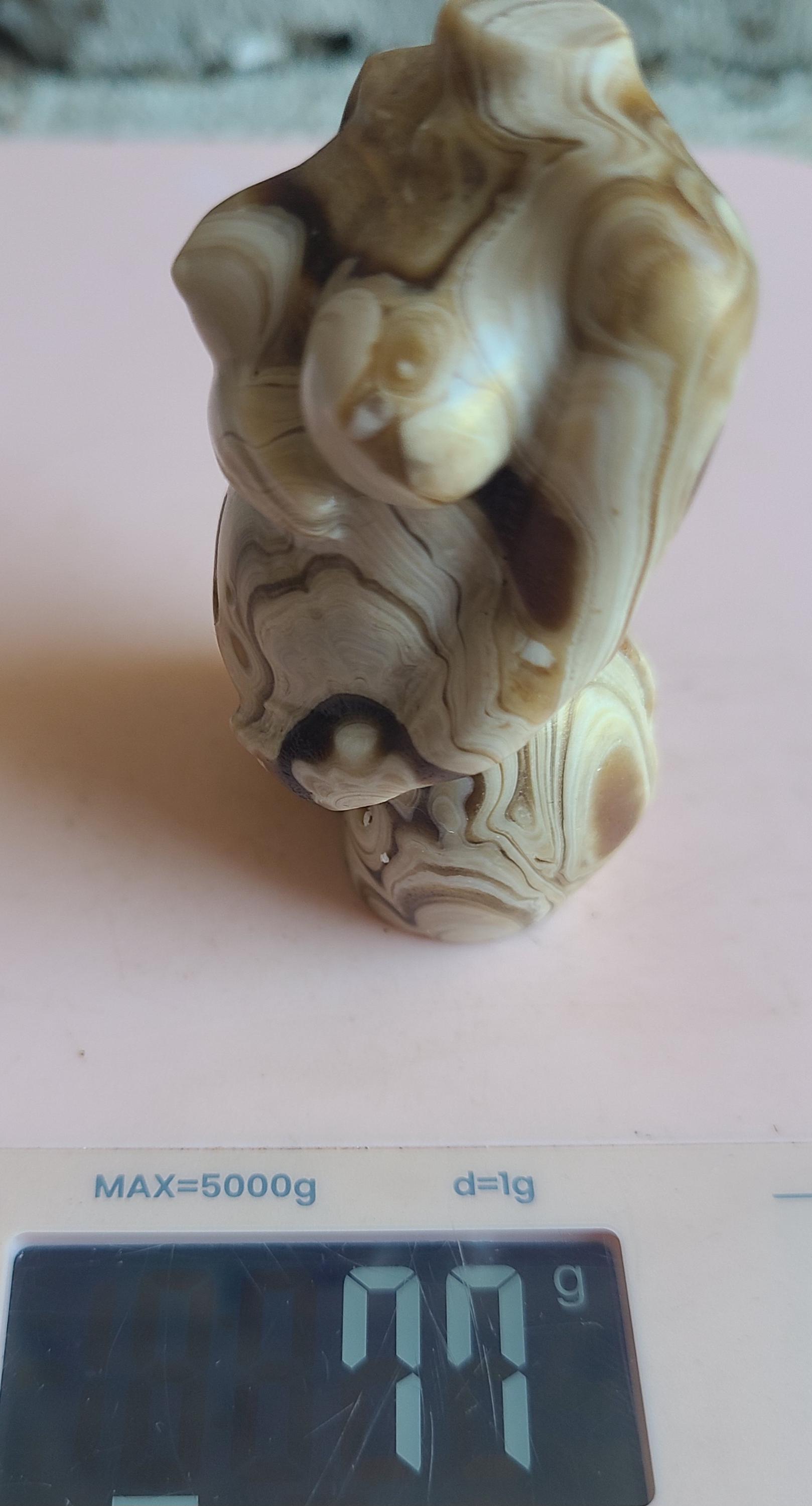 チョコレート カルサイト レディース ボディ チョコレートカルサイト妊婦用ボディ - Etsy 日本