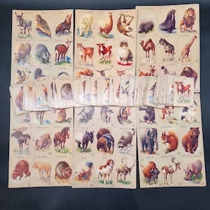 Vintage Animal Lotto Bingo Match Game Complete Set
