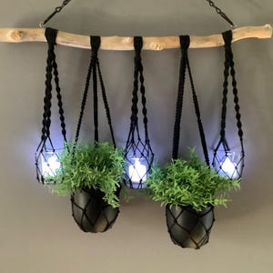 May include: Three black macrame plant hangers with white lights inside hanging from a wooden branch. Each hanger has a small potted plant inside.