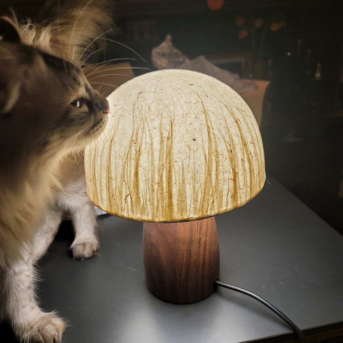 Wooden Mushroom Lamps