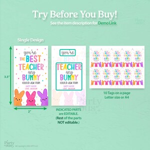 Editable Easter Teacher Appreciation Gift Tags Best Teacher Bunny Easter Basket Tag School Printable Label Template Instant Digital Download image 3