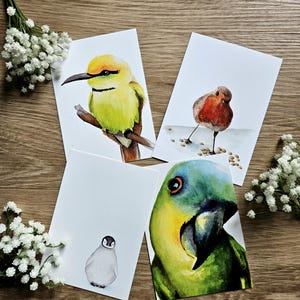 4er Set Aquarell Postkarten "Vögel"