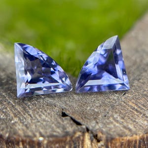 Könnte beinhalten: Zwei dreieckige, facettierte Edelsteine in tiefem Violettblau. Die Edelsteine sind vor einem verschwommenen grünen Hintergrund und einer verwitterten Holzoberfläche platziert, was ihre komplizierten Schnitte und ihre Klarheit hervorhebt. Diese Edelsteine sind wahrscheinlich für die Schmuckherstellung bestimmt.
