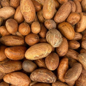 Puede incluir: Primer plano de un montón de nueces de cola marrones. Las nueces varían en tamaño y forma, con una superficie texturizada y estampada. El color varía de marrón claro a marrón oscuro.
