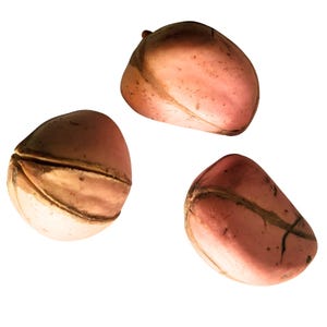 Kola (Cola) Acuminata Nuts - 4 and 5 Lobes