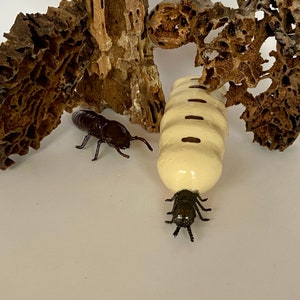 May include: Two toy insects, a brown termite and a white termite, on a white background. The white termite is segmented and has brown stripes.