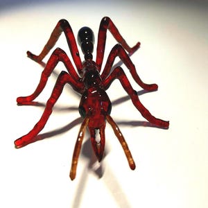 Bulldog Ant 3D model Oversized over 5” with 4”leg span-True to scale Realistic Photogrammerty Model of Photopolymer Resin. Made in USA