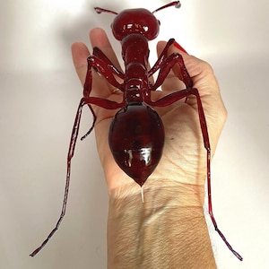 Giant 9 inches long & 3 inches high Fire Ant 3D model-True to scale Realistic Photogrammerty Model of Photopolymer resin, handcrafted in USA