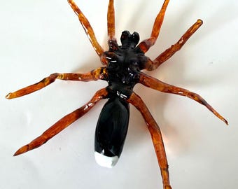White Back Spider - Enlarged 3D printed Entomology Model-Made is USA