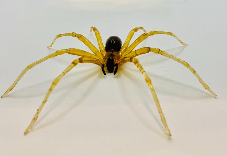 May include: A close-up of a yellow glass spider with a black body. The spider has eight legs and is sitting on a white surface.