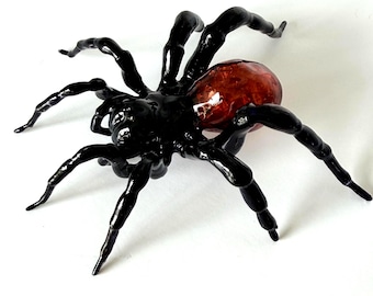 Trapdoor Spider 3D Entomology Model - Made In USA