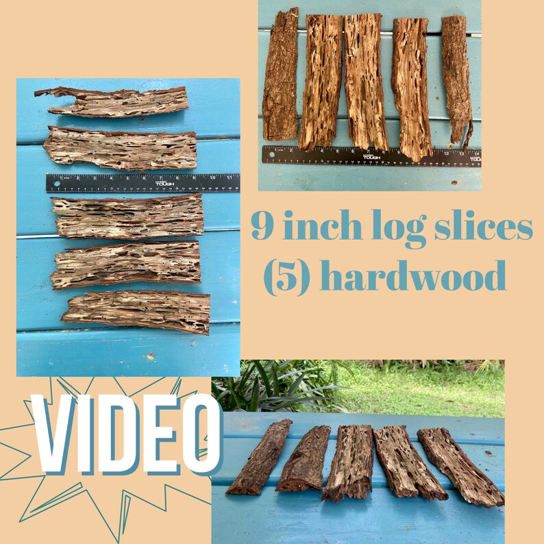 5 -9 inch slices of wood
